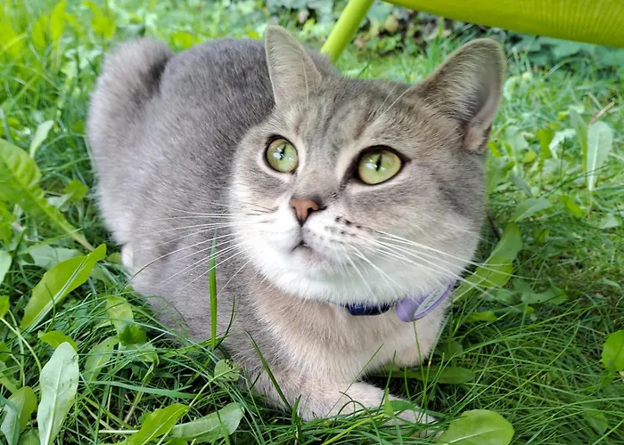 Spacious In Tempelhof Park Area * Berlin