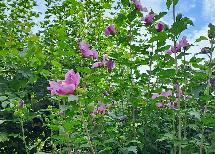 Spacious In Tempelhof Park Area Séjour chez l'habitant *