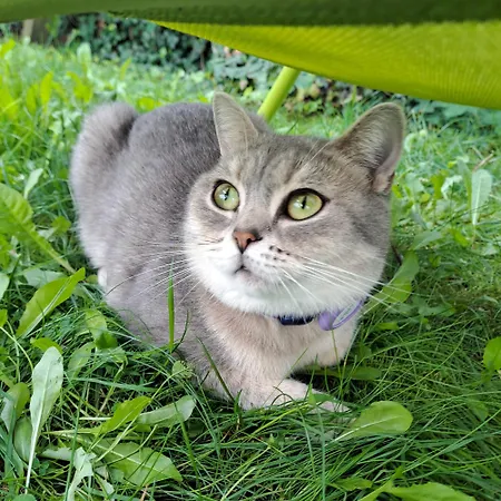 Spacious In Tempelhof Park Area * Berlín